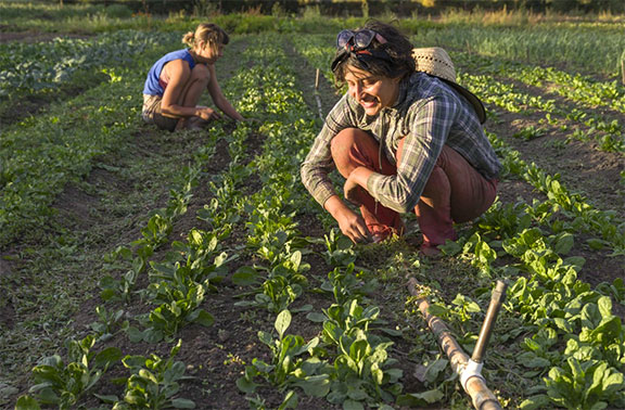 Farmers